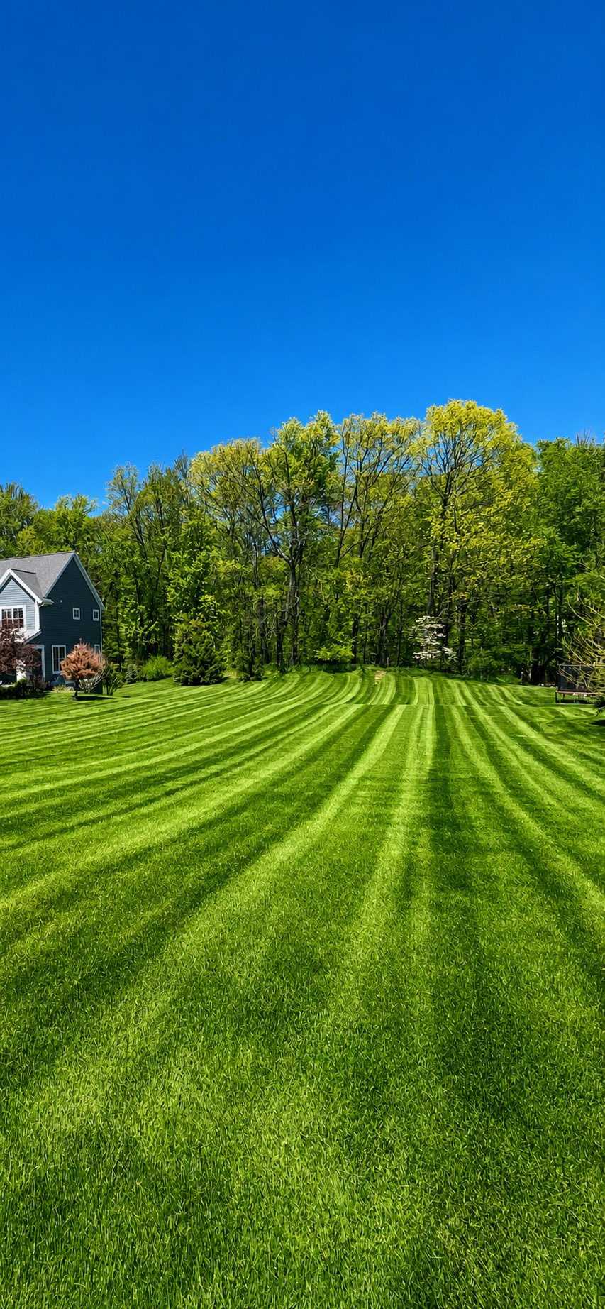 Bright green residential lawn with deep, even mowing stripes
