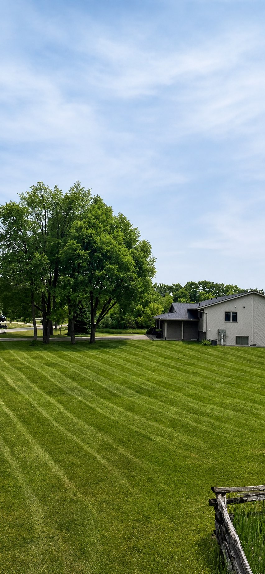 Freshly mowed lawn with neat stripes beneath mature shade trees